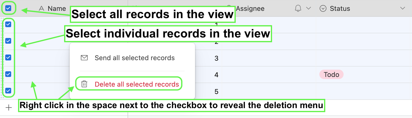 records_delete_multiple_2024.png