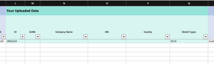 Uploaded Company Name in Exports.png