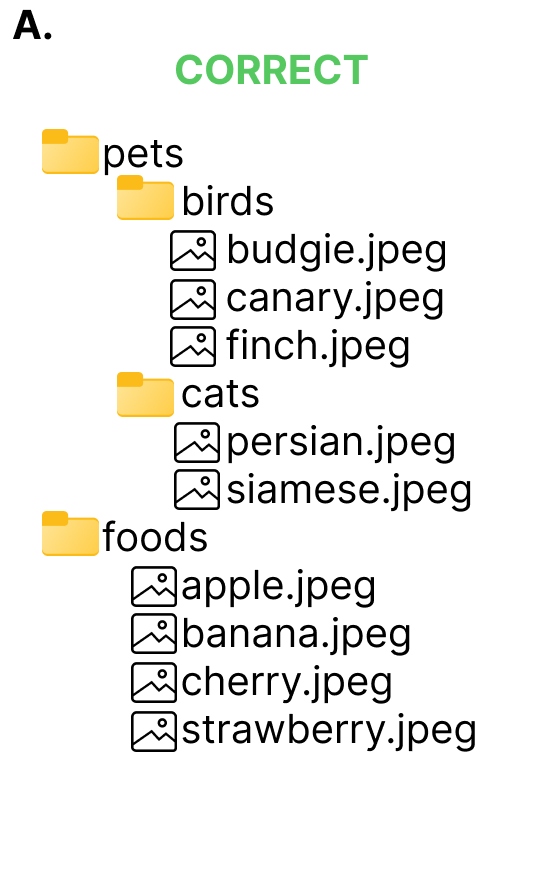 1correct1.png