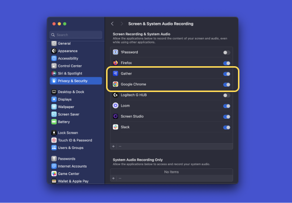 Mac Screen Record Settings.png