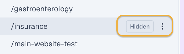List item labeled Hidden with a rounded, orange-outlined badge