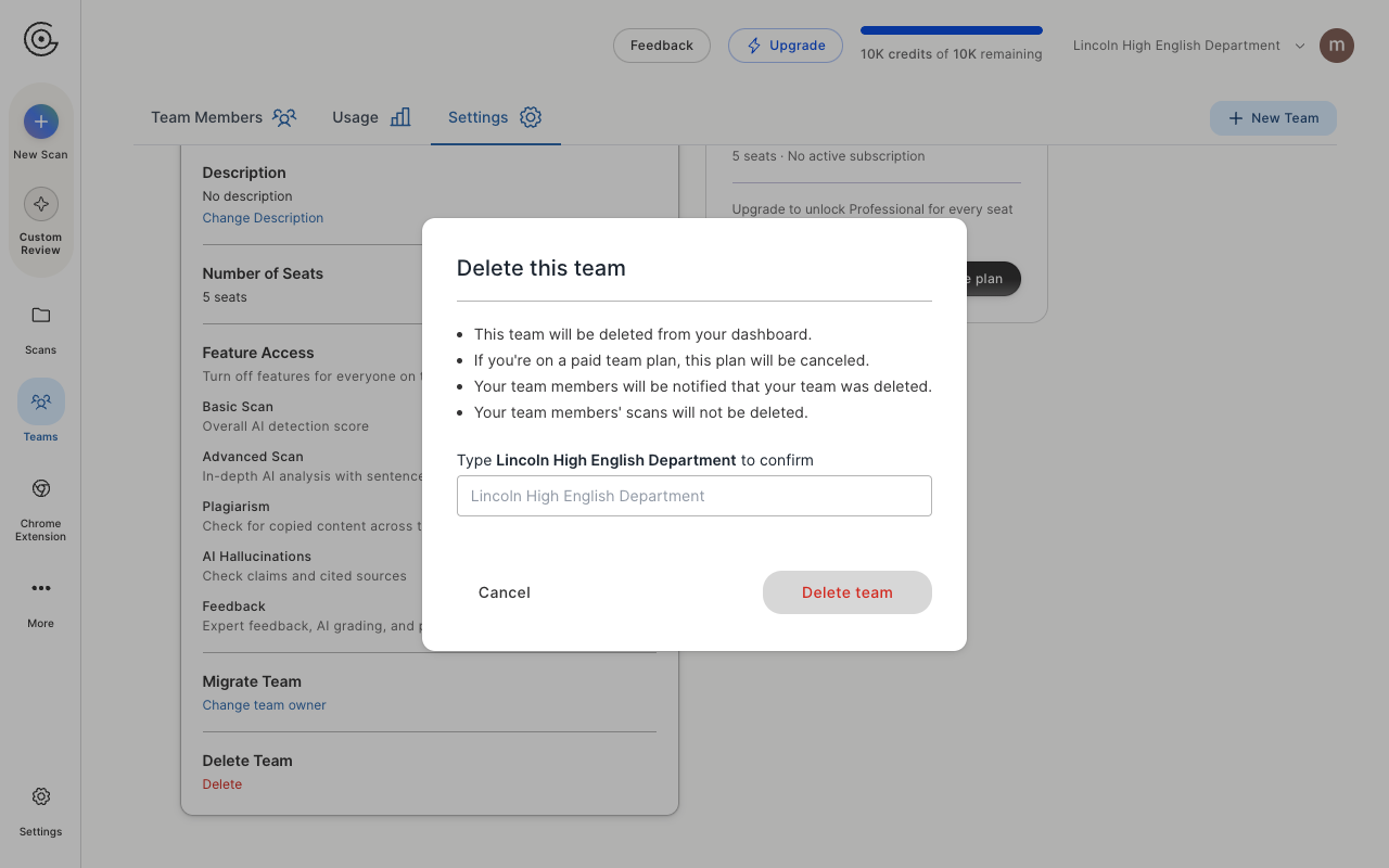 The Delete this team confirmation window with a field to type the team name