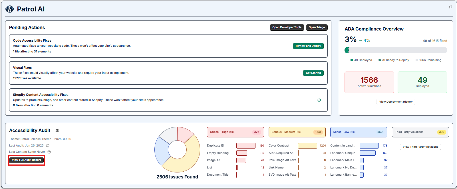 full audit report