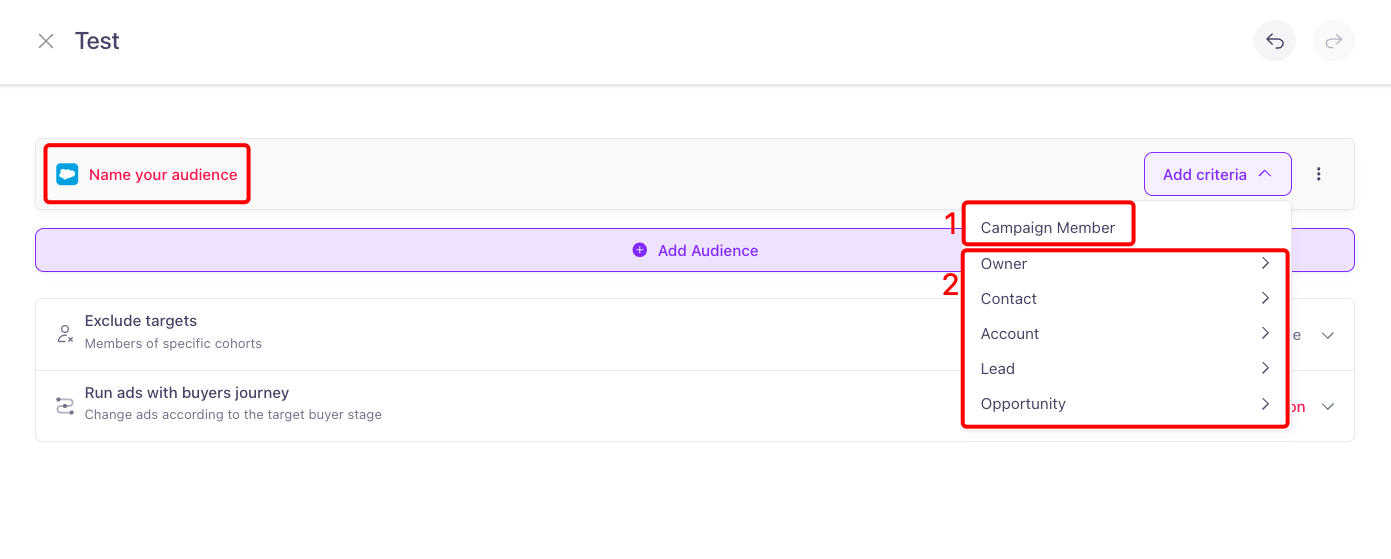 Audience naming field