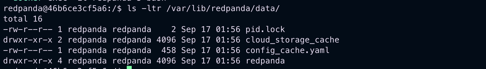 Screenshot 2024-09-17 at 7.49.07 AM.png