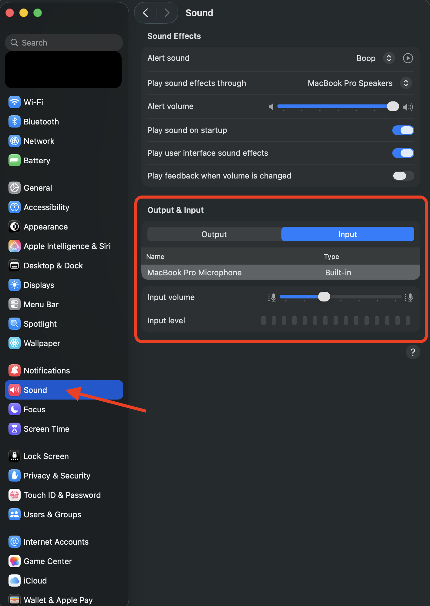 Mac Sound Input settings showing the selected microphone and input level meter Mac Sound Input settings showing the selected microphone and input level meter