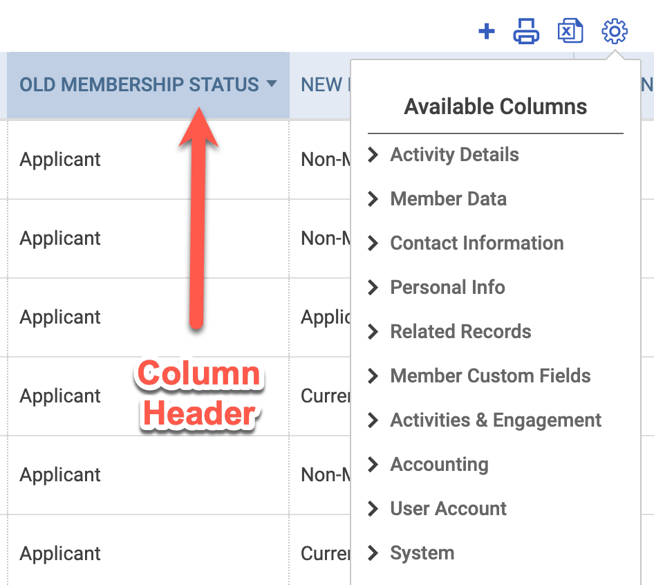 Screenshot of report table indicating a Column Header with the gear icon menu open