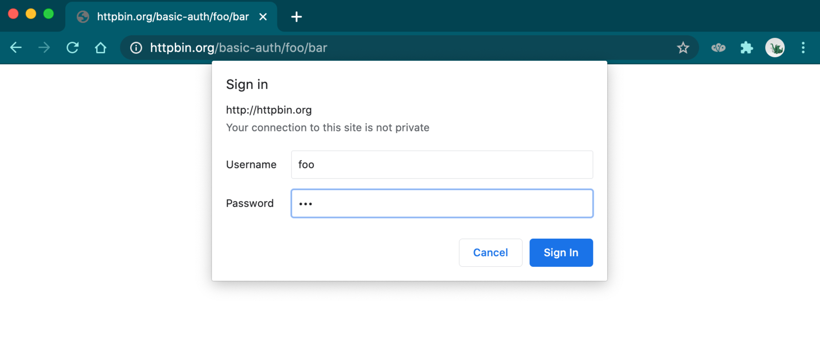 HTTP Basic Authentication