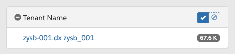 image.png Tenant name sfcc screenshot