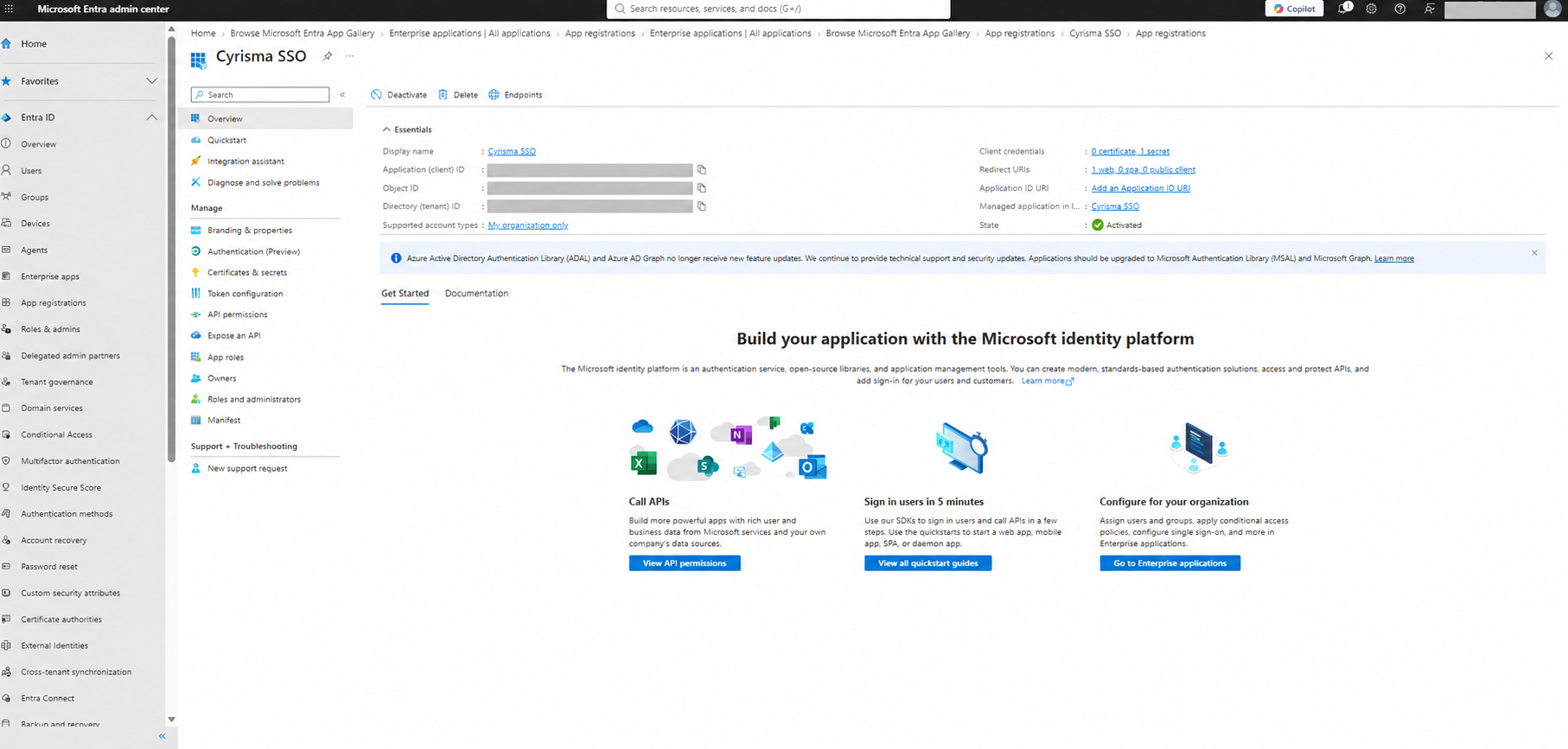 04-entra-application-overview-redacted.png