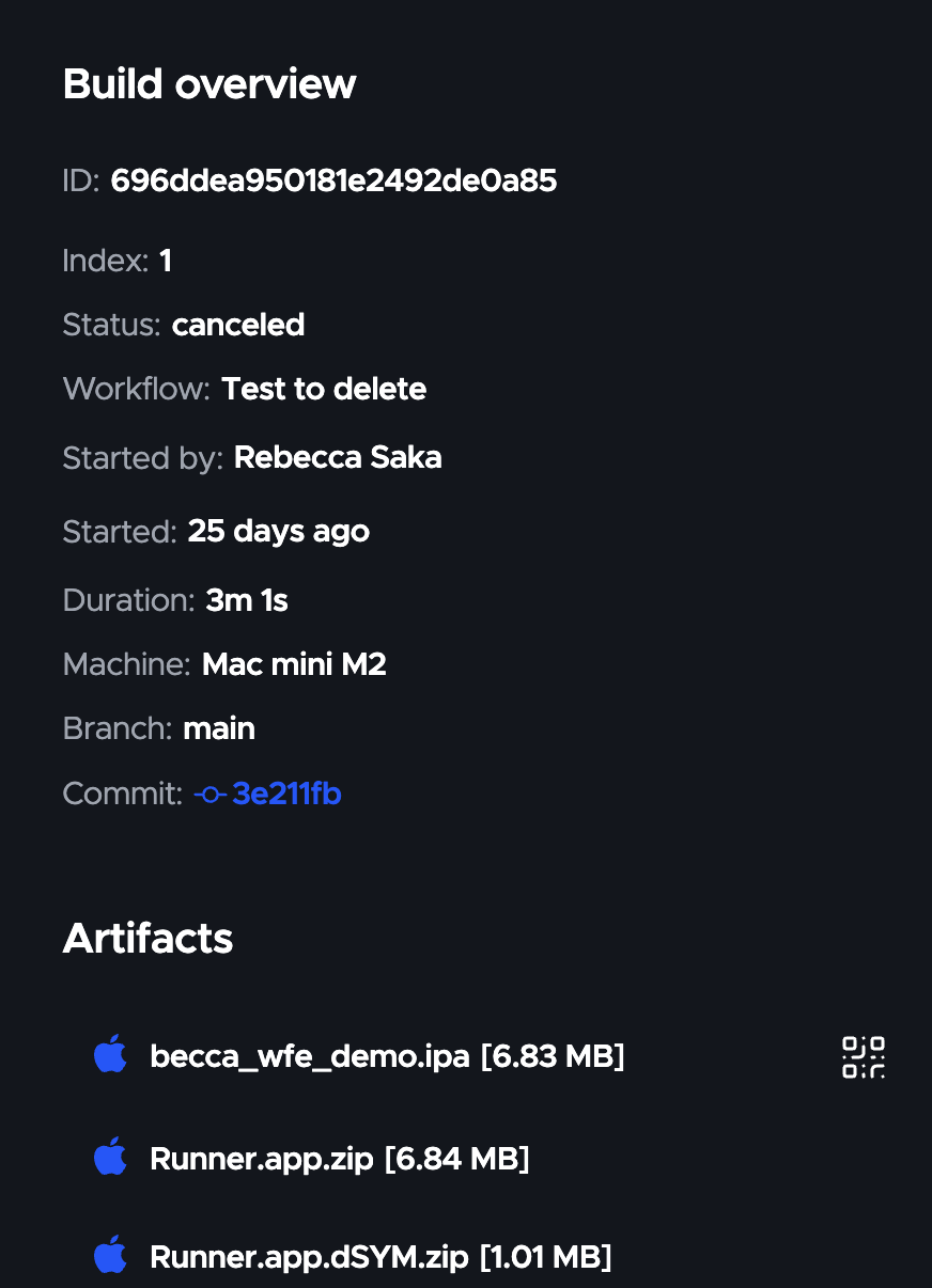 Build overview screen showing artifacts section with downloadable files