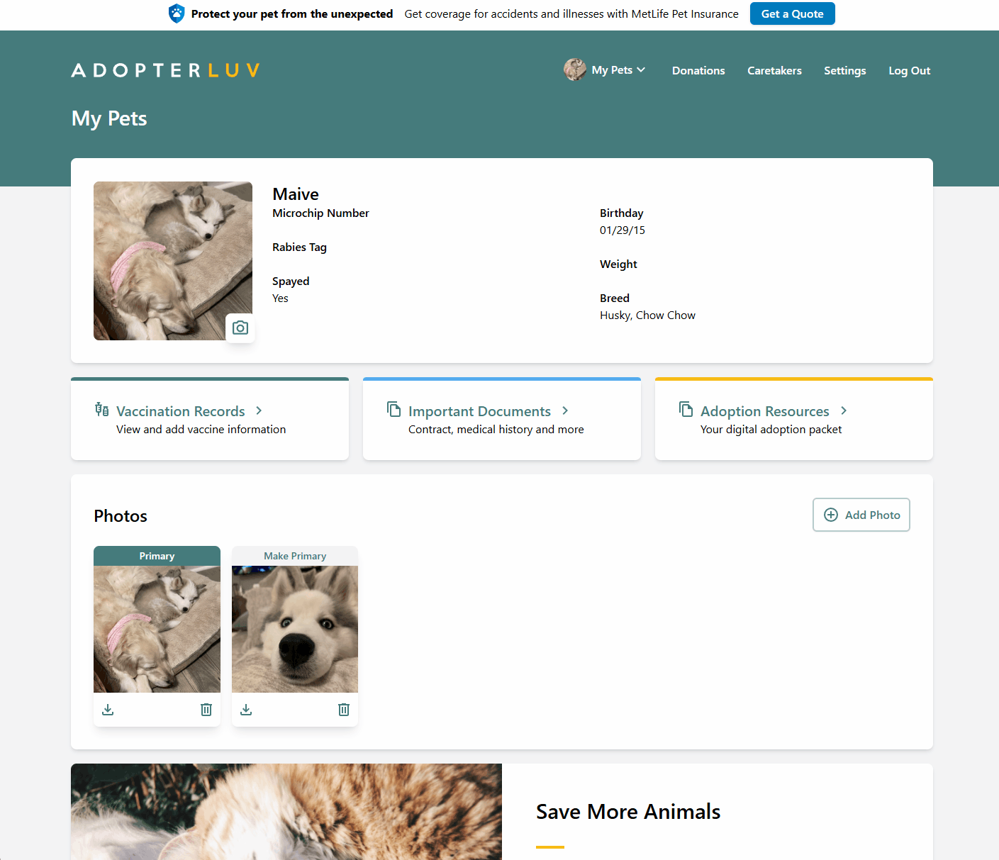 Upload document to Adopterluv account.gif Upload document to Adopterluv account.gif