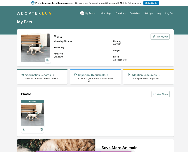 Delete Pet in Adopterluv.gif Delete Pet in Adopterluv.gif