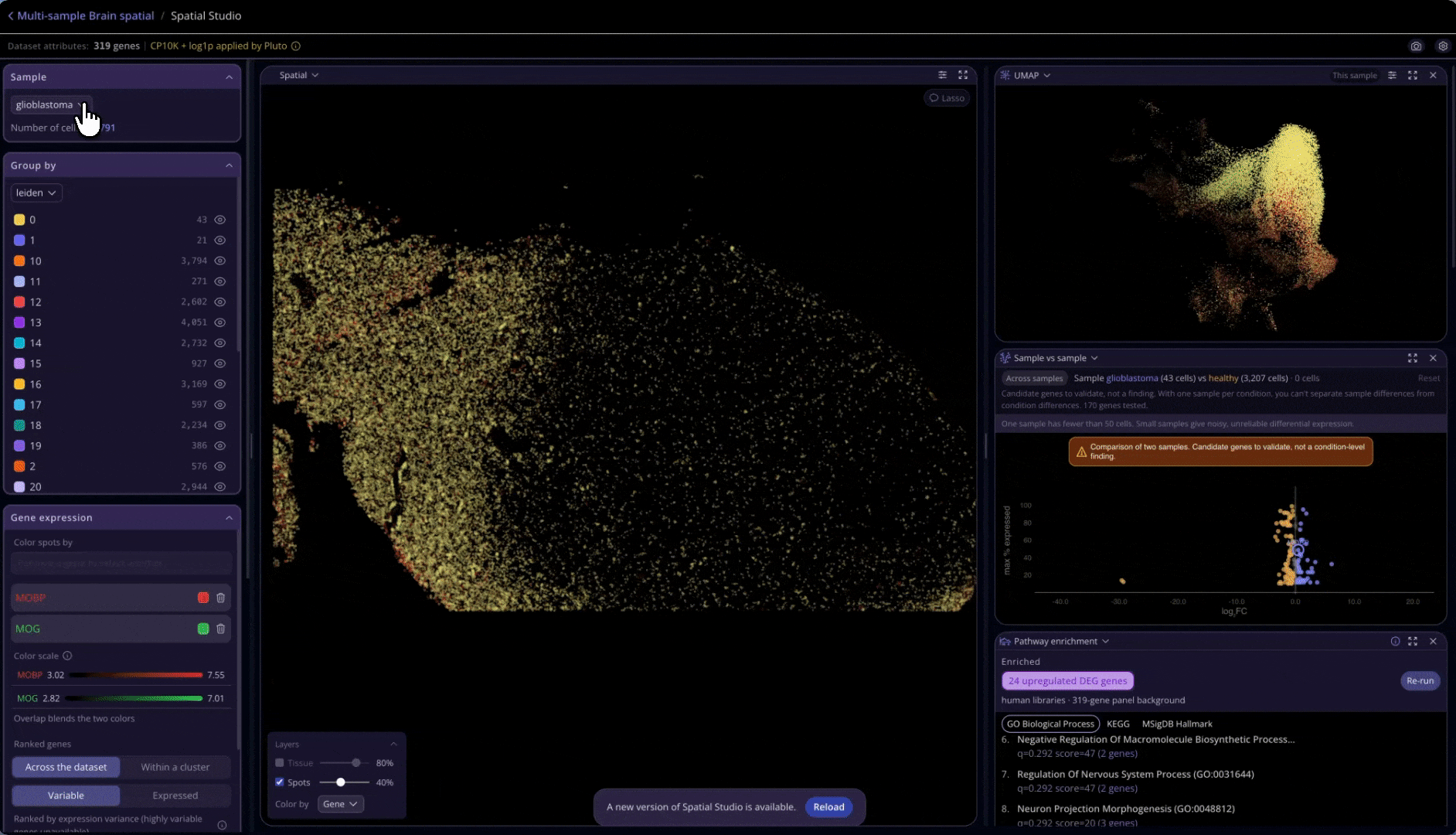 Spatial_Multi_Sample.gif