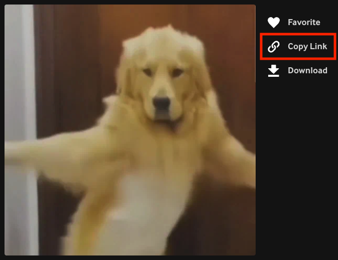 Screenshot 2025-06-17 at 10.03.12 AM.png copyGIFLink