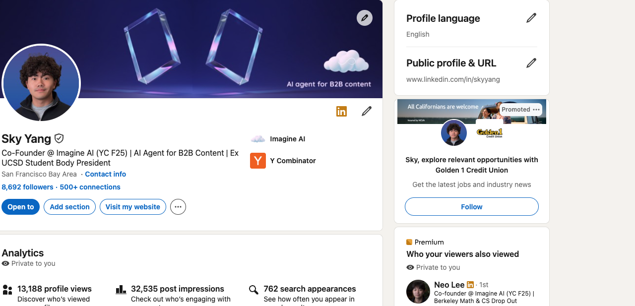 LinkedIn profile page showing the edit button for public profile settings