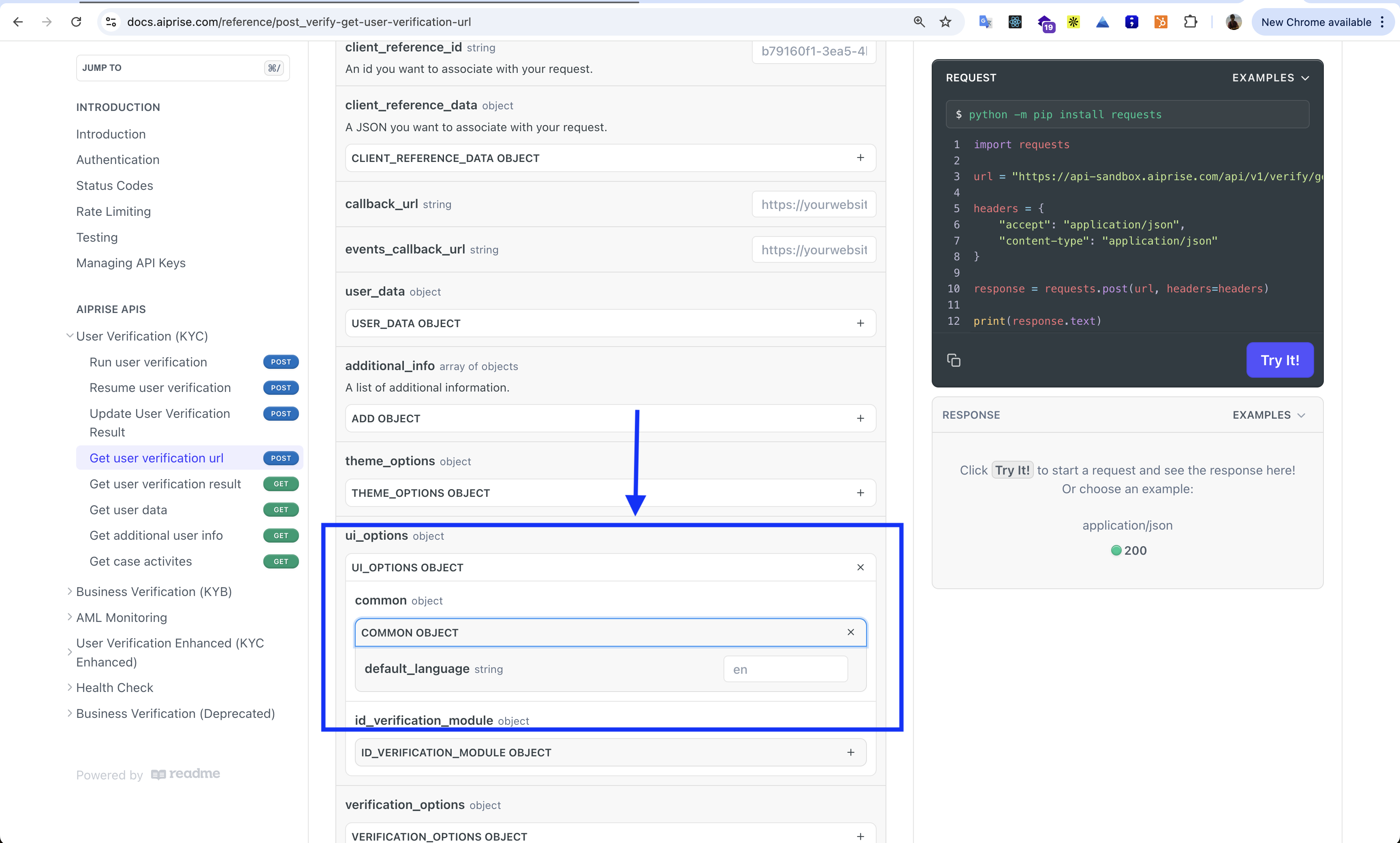 API documentation showing ui_options configuration for default_language parameter