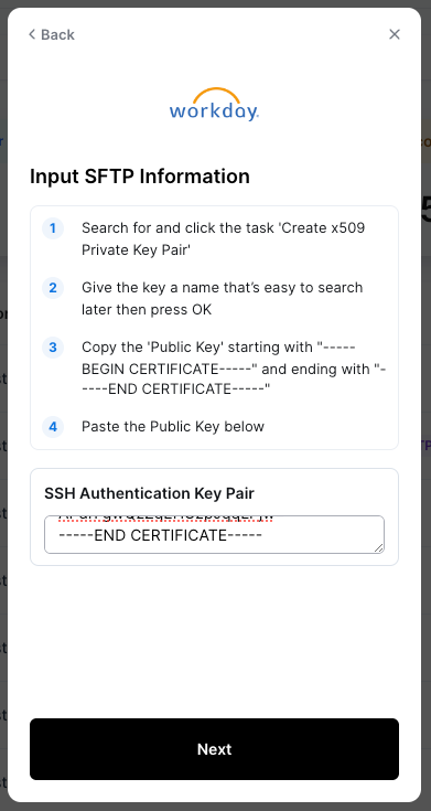 image (3).png image (3).png