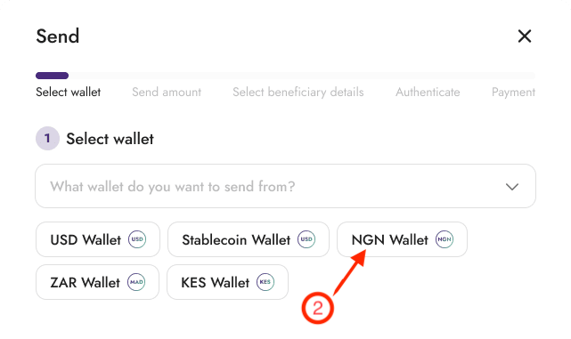 Local Currency Wallet (1).png